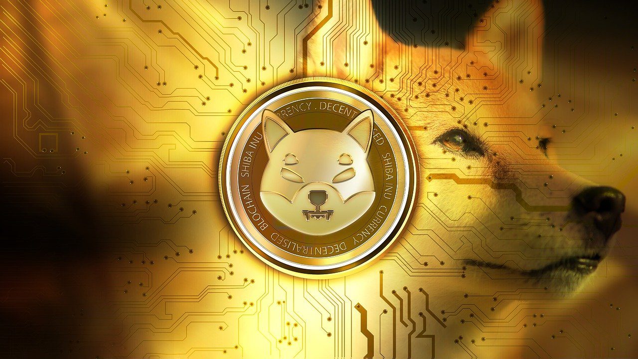 Shiba Inu (SHIB) Price Forecast: What to Expect in the Coming Months – 27 June 2024 (AI Analysis)