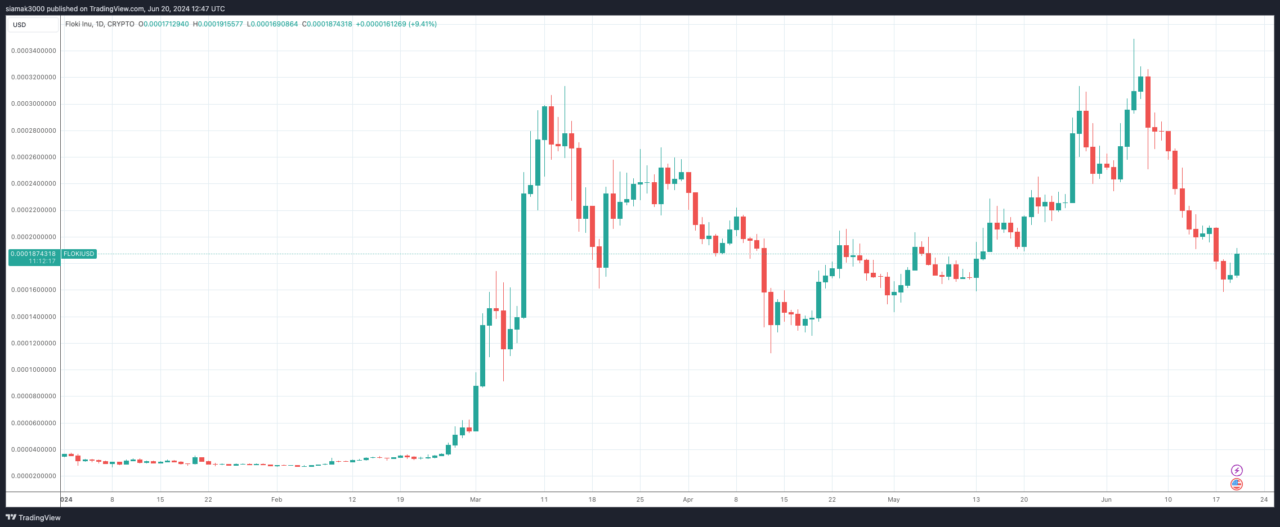 FLOKI/USD Chart