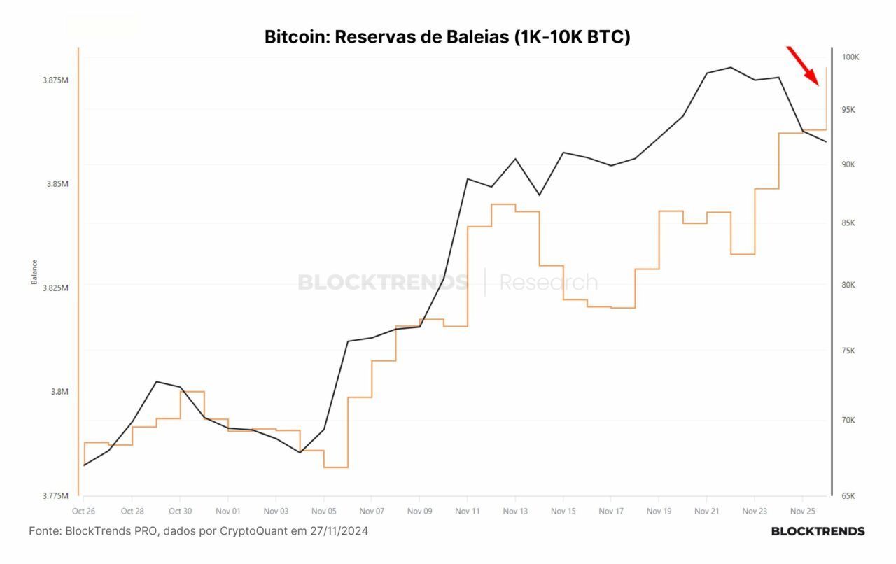 Биткойн-киты накопили 1,5 миллиарда долларов в BTC на фоне панических продаж