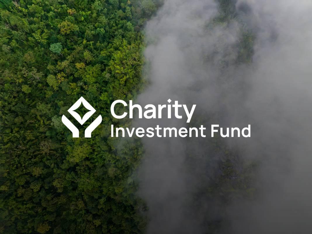 Charity Investment Fund Democratised Donation with Native Digital Currency CHIF